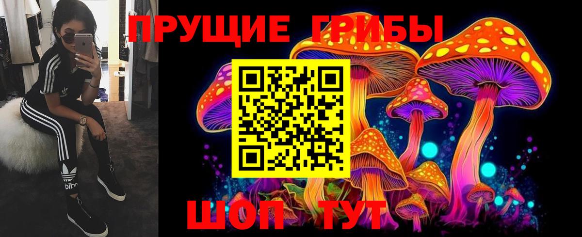 Галлюциногенные грибы прущие грибы  Вход с VPN  Ставрополь 